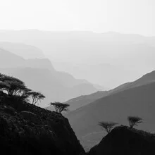 Photo art by Christian Janik: mountain landscape with gentle lines and calming mood.