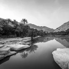 Photo art by Christian Janik: Wadi Bani Khalid with rocks and palm trees at sunrise