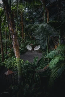 Photo art by Patrick Monatsberger: lush garden with palms and monstera plants