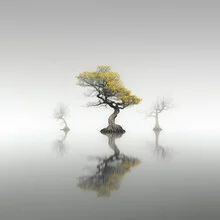 Photo art by Ronny Behnert: calm ocean scene with gentle reflections