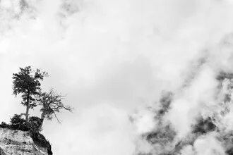 Photo art by Manuela Deigert: two trees under a cloudy sky over chalk cliffs