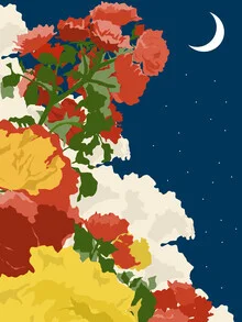 Illustration by Uma Gokhale: botanical flowers in moonlight with night sky