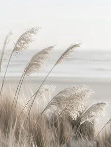 Photo art by Melanie Viola: Pampas grass by the coast with gentle waves in the background.