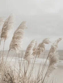 Photo art featuring pampas grass at the beach, gentle waves, and a dreamy atmosphere.