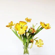 Photo art by Manuela Deigert: glass vase with yellow tulips on a light background