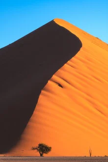 Photo art by Jean Claude Castor: tranquil sand dune in Namibia with soft colors