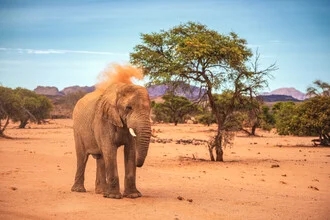 Desert elephant in Namibia wearing colorful makeup in the sand, calm mood.