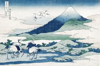Wandbild von Katsushika Hokusai: Umezawa Manor in Sagami Province, sanfte Farben und Details