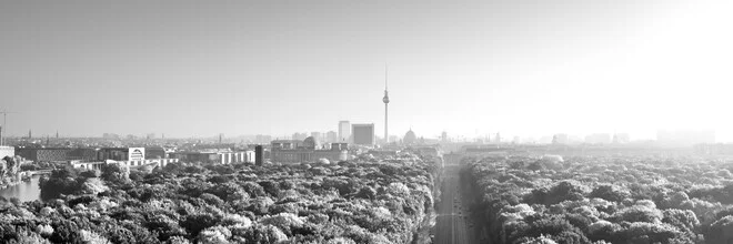 Photo art by Tillmann Konrad: trees and concrete in harmonious black and white