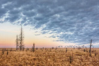 Morning mood over the High Fens with gentle clouds and a calm atmosphere