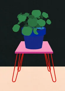 Illustration of nasturtium, fresh colors and playful shapes in a minimalist style.
