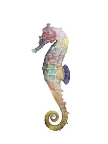 Illustration of a seahorse in the ocean, soft colors and calm atmosphere.