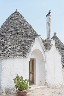Fotokunst von Photolovers: traditionelles Trullo in Alberobello, umgeben von grünen Pflanzen.