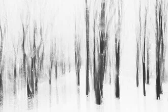 Photo art by Nadja Jacke: blurred trees in a winter forest
