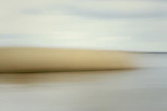 Blurred reeds by the water: calm, abstract composition