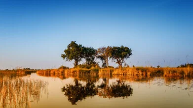 Photo art by J. Daniel Hunger: scenic landscape in the Okavango Delta