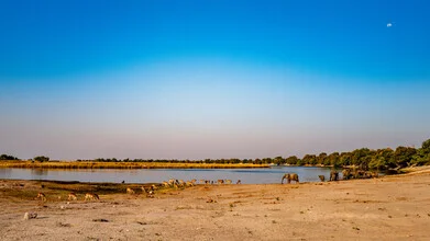 Photo art by J. Daniel Hunger: tranquil scene in the Okavango Delta with soft colors