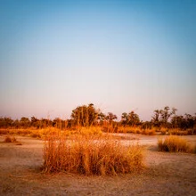 Photo art by J. Daniel Hunger: serene landscape in Mudumu National Park, Namibia