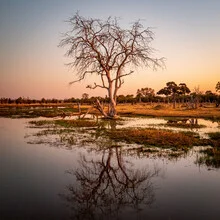 Photo art by J. Daniel Hunger: tranquil scene of the Okavango Delta in Botswana