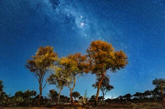 Photo art by J. Daniel Hunger: Milky Way over the landscape of Botswana