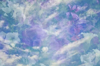 Photo art by Nadja Jacke: flowers and sky in multiple exposure