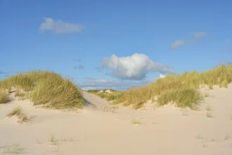 Beautiful dune landscape on Amrum with gentle sand hills and clear sky.