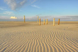 Wooden piles on the Kniepsand with gentle waves in the background