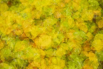 Abstract photo art by Nadja Jacke: autumn leaves in soft colors