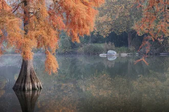 Photo art by Roswitha Schleicher-Schwarz: water cypress in red dress by the lake