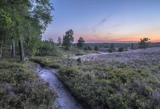 Photo art by Patrice Von Collani: Lüneburg Heath in late summer at sunset