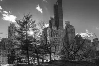 Photo art: black and white city view featuring nature and skyscrapers
