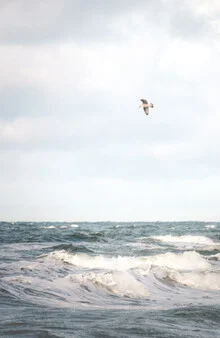 Colorful photo art by Nils Steiner: storm over the Baltic Sea with waves and gull.