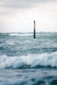 Photo art by Nils Steiner: stormy Baltic Sea with waves and birds in the sky