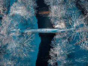 Winter landscape with snow-covered trees in Luisenpark, soft lighting mood.
