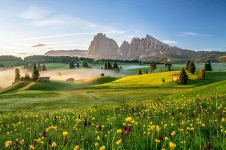 Frühling auf der Seiser Alm in Südtirol mit blühenden Wiesen und Bergen im Hintergrund.