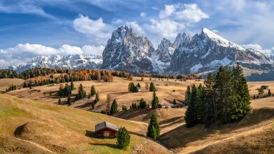 Wunderschöne Herbstfarben auf der Seiser Alm in Südtirol