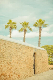 Beautiful photo art by Anke Dörschlen: three palm trees under a blue sky