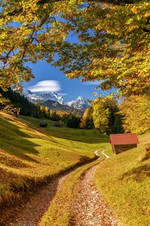 Photo art by Achim Thomae: autumn landscape with colorful trees and gentle hills