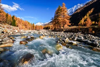 Autumn landscape in Lötschental, Switzerland with colorful larches and a calm river
