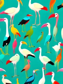 Illustration by Uma Gokhale: playful birds in vibrant colors in a jungle setting