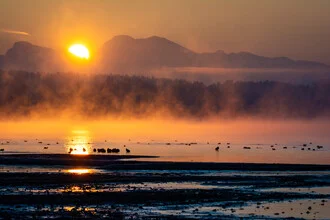 Morning mist over Lake Chiemsee with soft fog and calm mountains