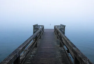 Foggy morning over a jetty by the lake, gentle mood and tranquil nature.