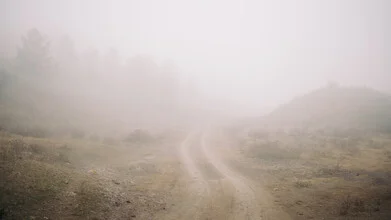 Path in Georgia surrounded by mystical fog and soft morning light.