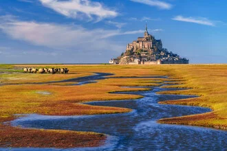 Photo art by Achim Thomae: Mont Saint Michel bathed in golden light with sheep herd.
