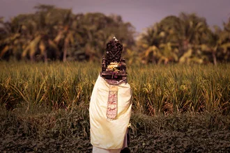 Photo art by Manuel Kürschner: Balinese shrine in front of rice field with soft lighting