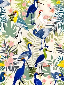 Illustration by Uma Gokhale: colorful birds and flowers in a tropical style