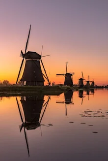 Fotokunst von Achim Thomae: Windmühlen von Kinderdijk im sanften Morgenlicht