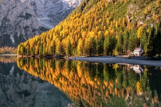 Photo art by Achim Thomae: autumn landscape with larches at Pragser Wildsee.