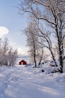 Boathouse in snow on Senja island, a calm winter landscape in Norway.