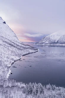Winter landscape in pastel colors, frosty bay in Senja, Norway